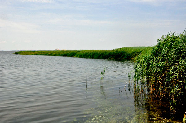 Currituck Sound